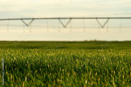 Arroseur agricole pulvérisant de l'eau sur un champ