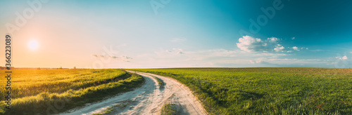 Sun Sunshine In Sunset Bright Sky. Beautiful Evening Sky Above Rural Landscape With Country Road. Young Green Wheat Field Meadow And Countryside Road. Agricultural And Weather Forecast Concept