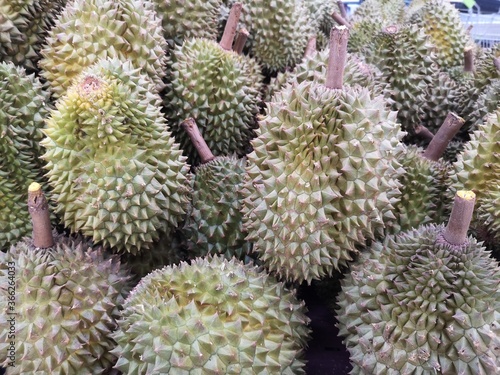 Durian fruit with sharp bark Flesh in the sweet yellow color