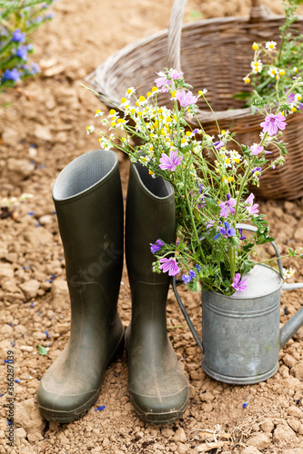 Gardening tools and flowers in the garden. Metal watering can, rubber boots with bouquet of wildflowers, wooden basket. Rustic decor, dry soil. Close up, outdoors