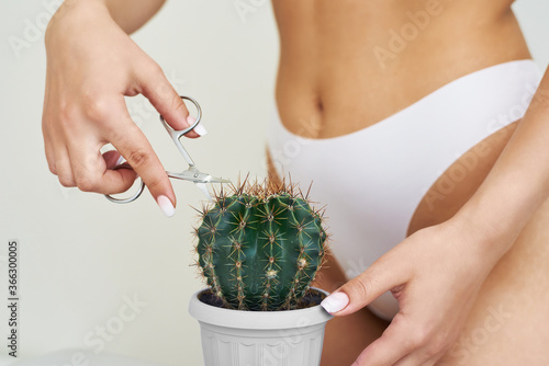 The girl cuts a large cactus with scissors in the groin area. The concept of intimate hygiene, epilation and depilation, deep bikini shaving