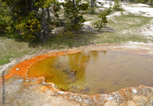 Late Spring in Yellowstone National Park: Vandalized Geyser in the Lower Group of West Thumb Geyser Basin on the Shore of Yellowstone Lake
