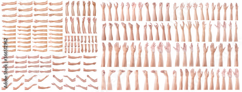 GROUP of Male asian hand gestures isolated over the white background.