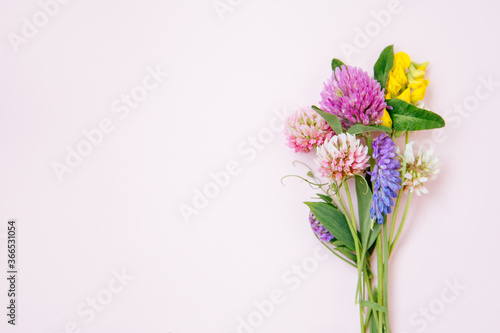 Flat lay of miniature wildflowers on pink background, copyspace for summer and wedding design. Boutonniere from clover and mouse pease