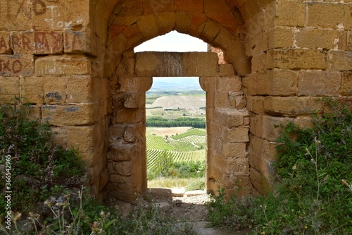 Stone entrance door of the Castillo de Davalillo, in ruins, with a landscape of vineyards in the background.