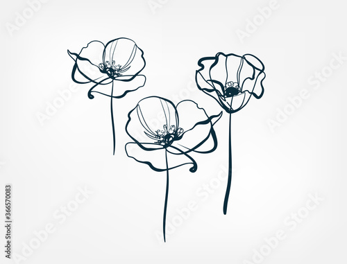 flower line one art isolated vector illustration