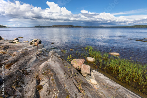 Granite rocky coast and pine tree forest. Northern Europe landscape