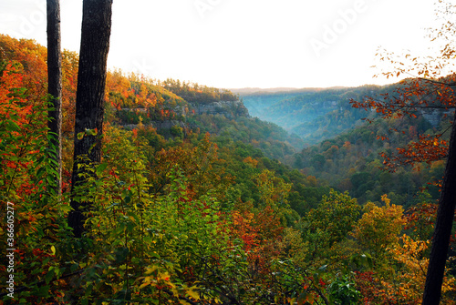 Kentucky's Red River Gorge displays brilliant autumn foliage