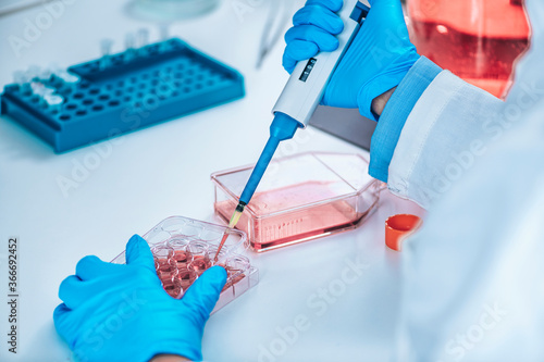 Biotechnology Researcher in Laboratory Working with Cell Culture