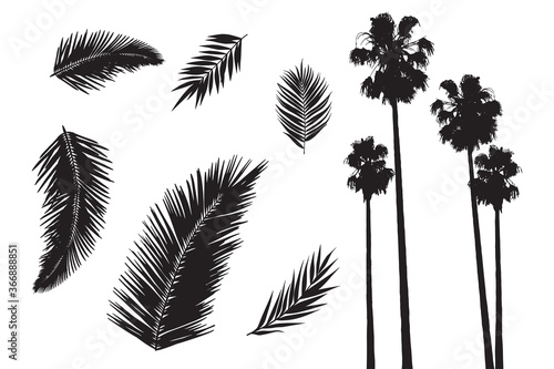 Palm tropic silhouettes. Clip art set on white background