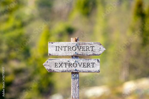 introvert extrovert text carved on wooden signpost outdoors in nature. Green soft forest bokeh in the background.