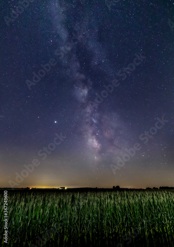 Milky Way Maize - The Milky Way Galaxy arcs through a starry summer night sky over an Indiana cornfield.