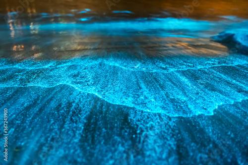 Bioluminescence, Jervis Bay, Australia