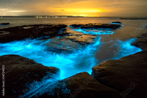 Bioluminescence, Jervis Bay, Australia