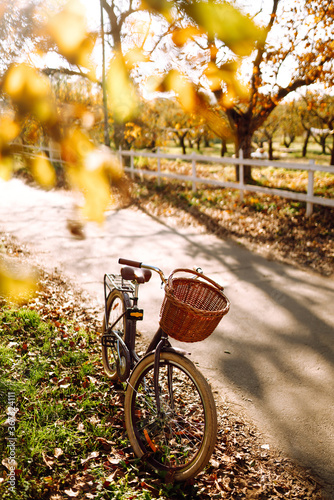  Bike in the autumn forest.