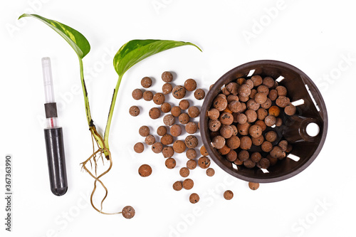 Tools for keeping houseplants in passive hydroponics system without soil with water level indicators, expanded clay pellets, rooted plant cutting and flower pot on white background