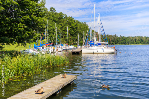 Ducks on wooden lake pier and sailboats mooring in small marina Janus near Ruciane Nida town, Mazury Lake District, Poland