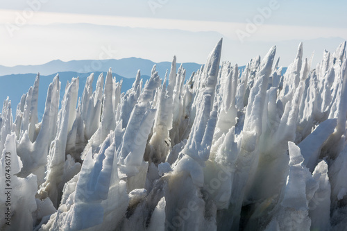 Penitentes cerro la paloma