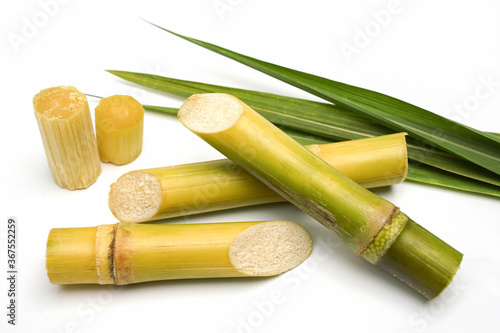 sugar cane and brown sugar on white isolate background