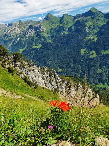 Droga z Fronalpstock do Klingenstock, Alpy, Szwajcaria