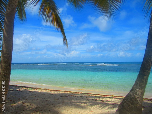 des palmiers sur une plage de sable blanc devant la paradisiaque mer turquoise