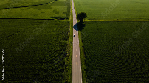 illinois kentucky ohio landscape corn fields and roads