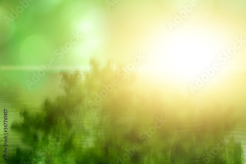 Green leaves, nature, blurred background illustrations