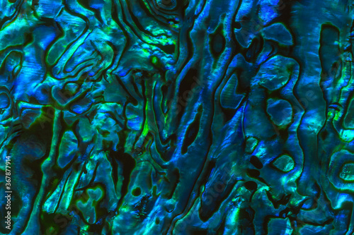 Brightly coloured New Zealand Paua shell patterns. Paua is a large mollusc found in coastal waters and is known as abalone in other parts of the world. The shell is prized for its decorative quality.