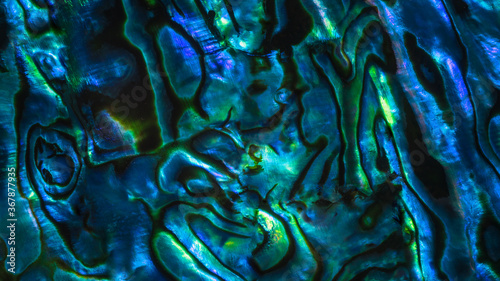 Brightly coloured New Zealand Paua shell patterns. Paua is a large mollusc found in coastal waters and is known as abalone in other parts of the world. The shell is prized for its decorative quality.