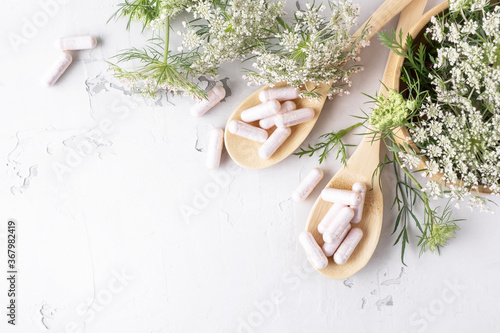 Alternative medicine, naturopathy and dietary supplement. Herbal remedy in capsules and plants.