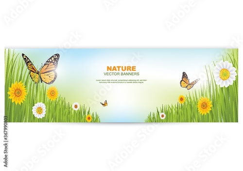 nature banner with sunflower