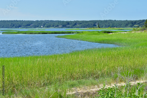 A sweeping expanse of salt marsh in Stony Brook Harbor, Long Island, NY. Copy space.