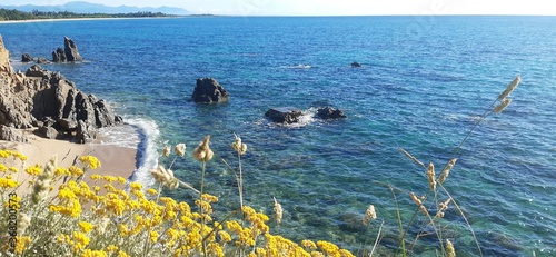 immortelle bord de mer