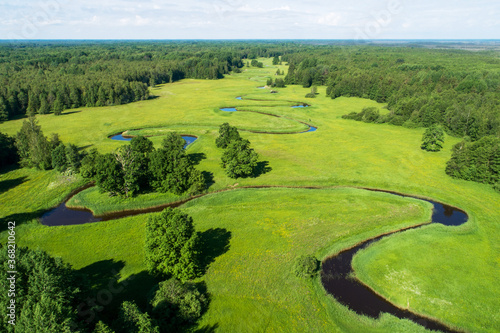 Soomaa National Park. Aerial view of summery lush and sunny Mulgi wooded meadow in Estonian nature, Northern Europe. 