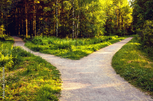 Divergence of directions. The wide path in the park is divided into two trails.