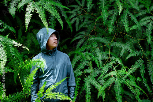 Man in green hoodie with zipper standing in bush of fresh firn leaves, Portrait of Asian man in nature