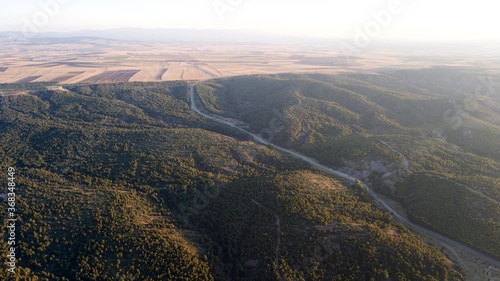 aerial view of mountains covered by forest trees. wheat fields can be seen at the background.