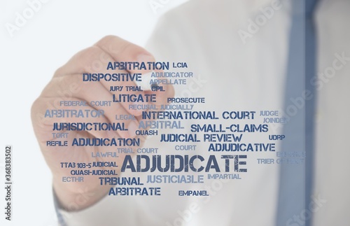 adjudicate