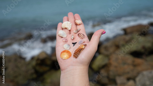 hand with sea shells