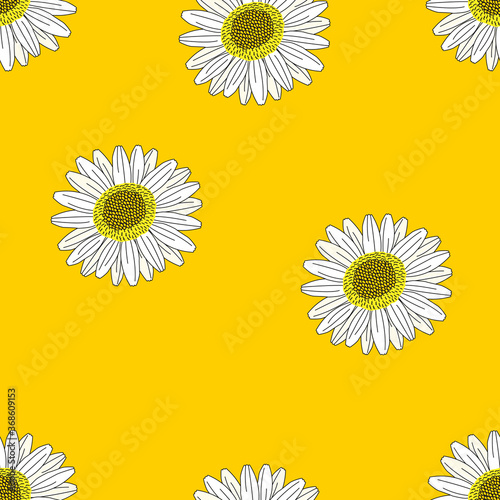 Flowers seamless pattern, Daisy flowers blossom on yellow wallpaper. 