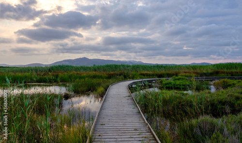 Marjal del Moro wetland nature reserve footbridges on the water in Valencia Spain