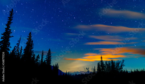 Blue Night Sky Stars And Milky Way With Towering Pine Trees