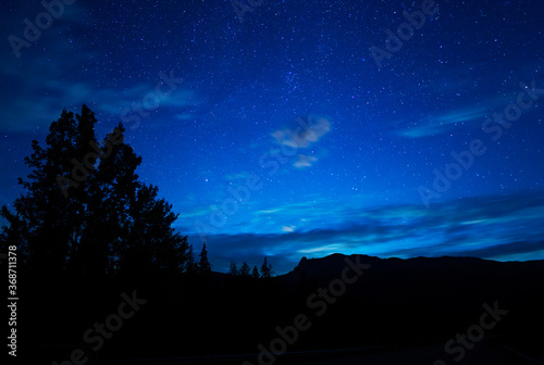 Blue Night Sky Stars And Milky Way With Towering Pine Trees