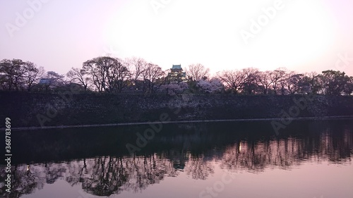 桜に包まれる大阪城
