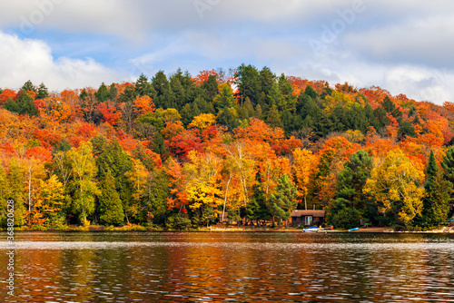 Fall colors Algonquin Park, Ontario, Canada.