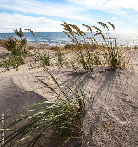 Sand dunes on the beach