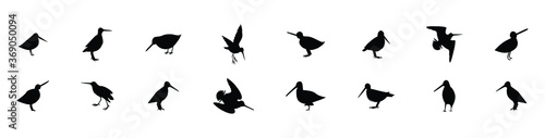 a set of common snipe drum silhouettes. vector illustration