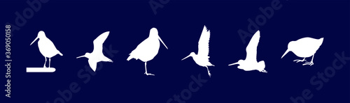a set of common snipe drum silhouettes. vector illustration