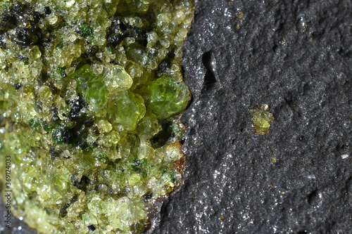 Closeup of Large Peridot (1-2 cm) olivine crystals in Lherzolite xenolith enclosed by basalt, San Carlos Apache Reservation, Arizona