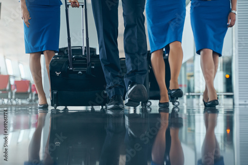 Elegant cabin crew in uniforms pulling trolley bags